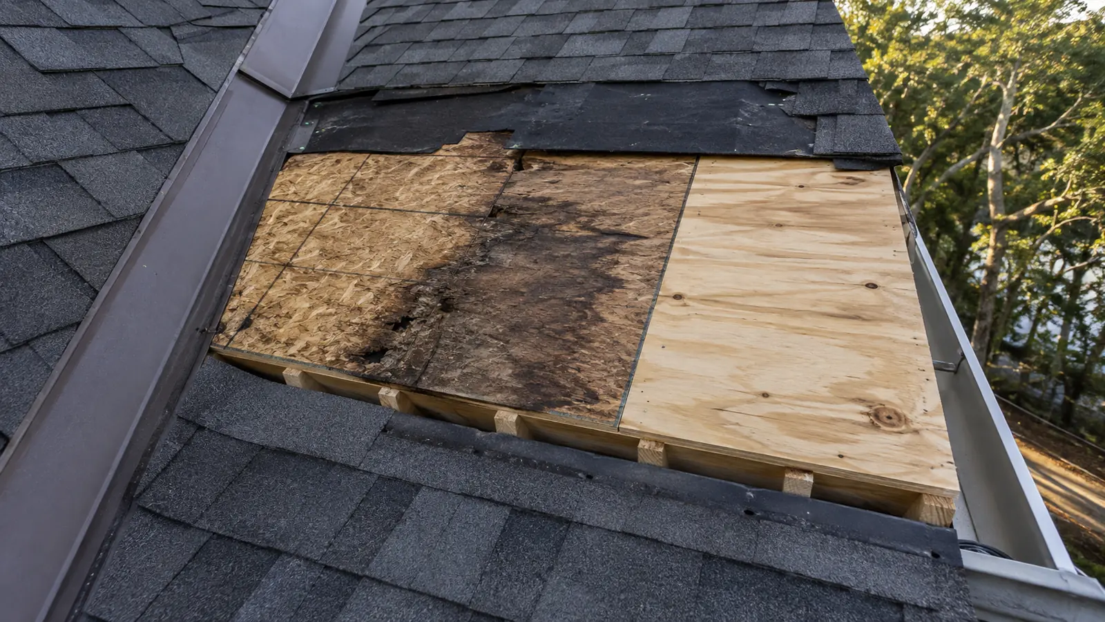 hurricane damaged roof deck replacement