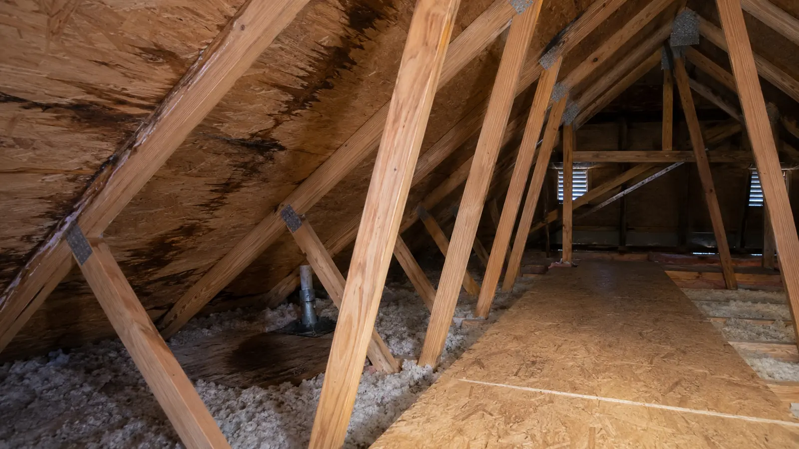 repeated roof leaks attic water damage